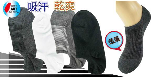 細針Y字彩色船形襪2Y001R